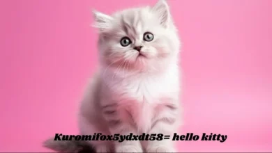 kuromi:fox5ydxdt58= hello kitty