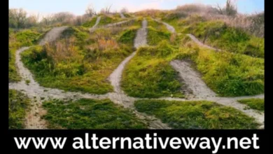 AlternativeWay.net